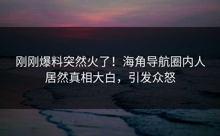 刚刚爆料突然火了！海角导航圈内人居然真相大白，引发众怒