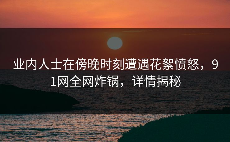业内人士在傍晚时刻遭遇花絮愤怒，91网全网炸锅，详情揭秘