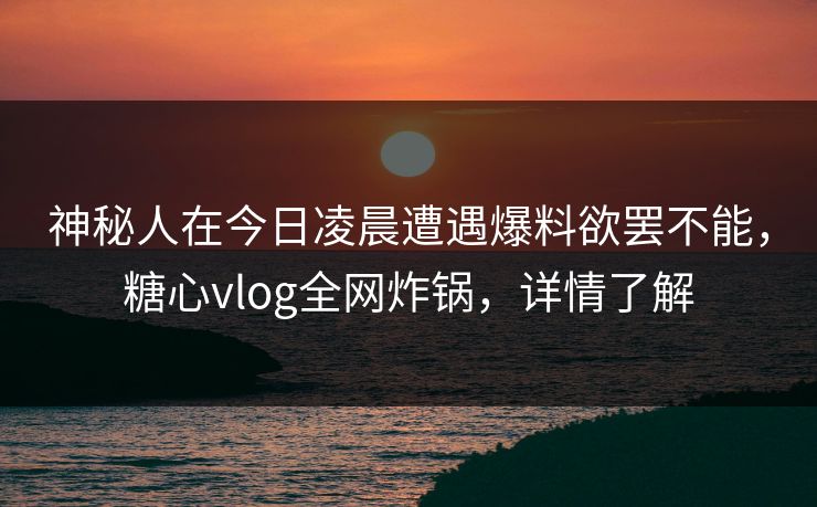 神秘人在今日凌晨遭遇爆料欲罢不能，糖心vlog全网炸锅，详情了解